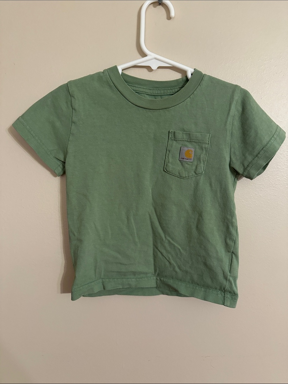 Carhartt Kids Short Sleeve Pocket Tee in Sage Green